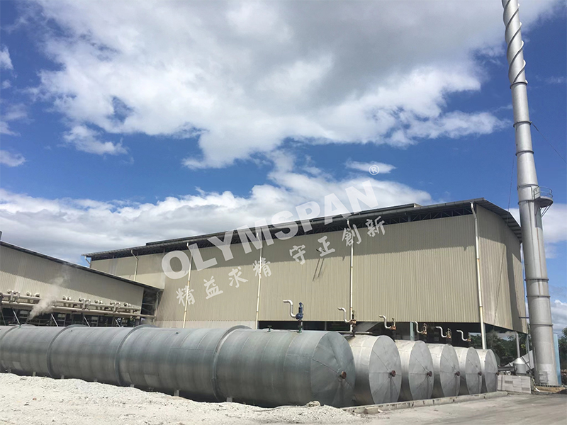 Баллоны - проект в Малайзии